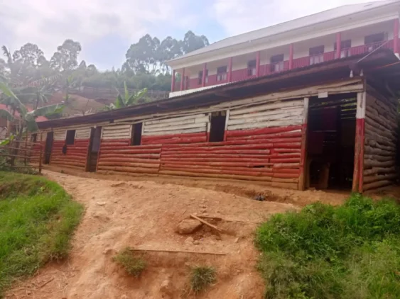 {{brizy_dc_image_alt imageSrc=